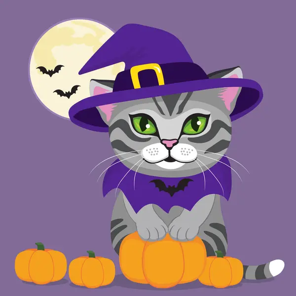Halloween Kätzchen Hexenkostüm Gegen Gruselige Nachtszene Mit Vollmondhintergrund Und Fliegenden — Stockvektor