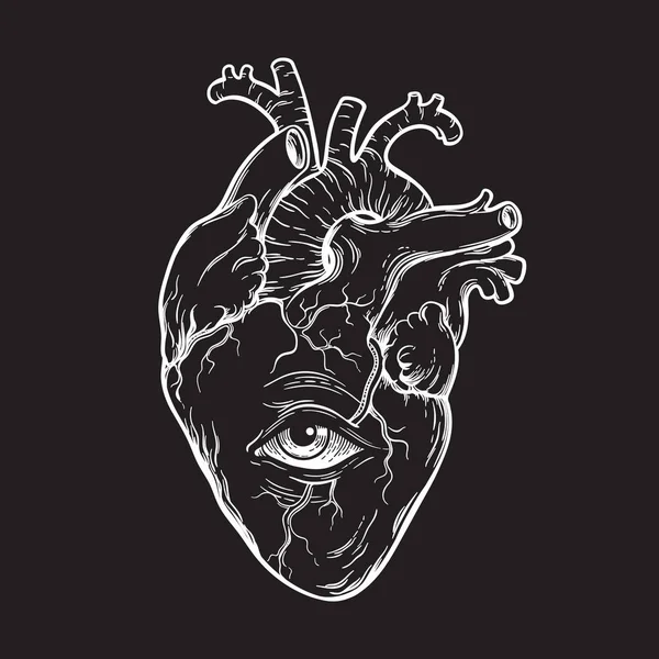 Coração Humano Anatomicamente Correto Com Olho Desenhado Mão Linha Arte —  Vetores de Stock
