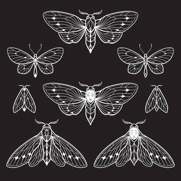 Moths Butterflies Hand Drawn Line Art Gothic Tattoo Design Set — Vetor de Stock