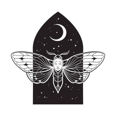Gece gökyüzünde yüzü olan gotik güve hilal el çizgisi çizilmiş sanat gotik dövme tasarımı izole vektör çizimi.