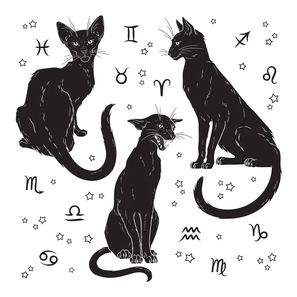 黑猫与怪物翅膀隔离 女巫熟悉的精神 异教徒巫术之间或异教徒巫术主题印刷设计图 — 图库矢量图片