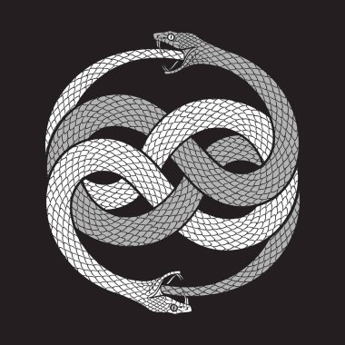 Double ouroboros or uroboros serpent snakes consuming. Tattoo, poster or print design vector illustration. clipart