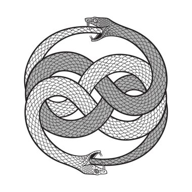 Çifte ouroboros veya uroboros yılanı yiyen. Dövme, poster veya yazdırma vektör çizimi.