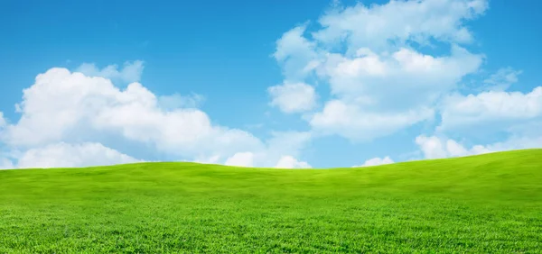 Veld Met Gras Blauwe Lucht Prachtige Lente Zomer Panoramisch Natuurlijk — Stockfoto