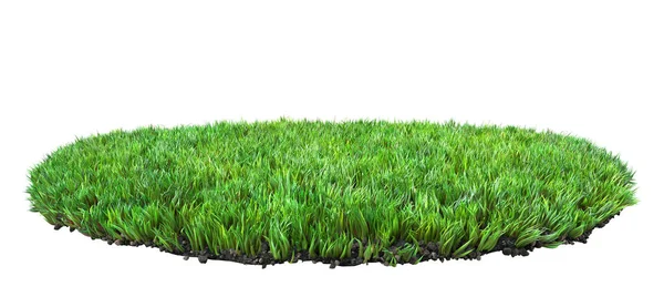 Green Grass Turf Isolated White Background Illustration — Stock Photo, Image