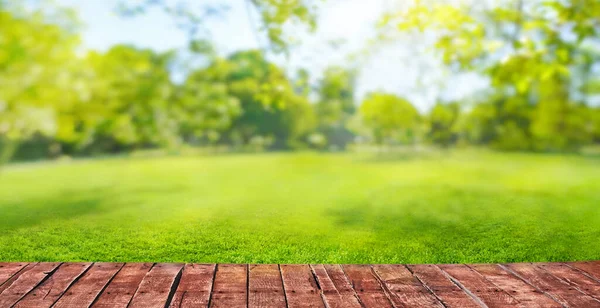Yeşil Çimenler Bulanık Arka Plan Park Çayırlarında Güneş Işınları Ahşap — Stok fotoğraf