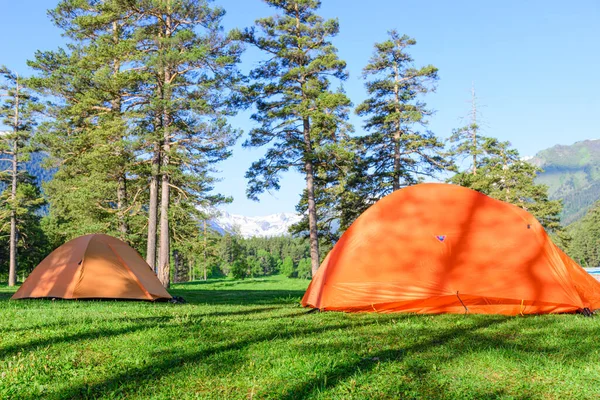 在有帐篷的森林营地露营 — 图库照片