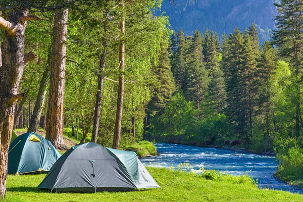 Acampando Acampamento Floresta Com Tendas — Fotografia de Stock
