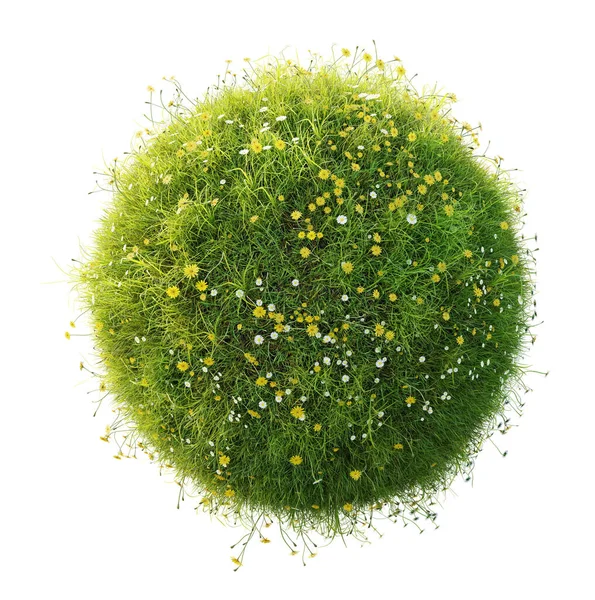 Трава Цветы Зеленые Планеты Изолированы Белом Фоне Иллюстрация — стоковое фото