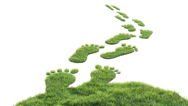 Зеленые Травяные Следы Экологическая Концепция Углеродного Следа Выбросов Иллюстрация — стоковое фото