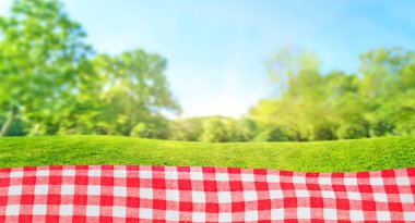 Güneşli bir günde açık hava pikniği yaz parkında çimlerin üzerinde