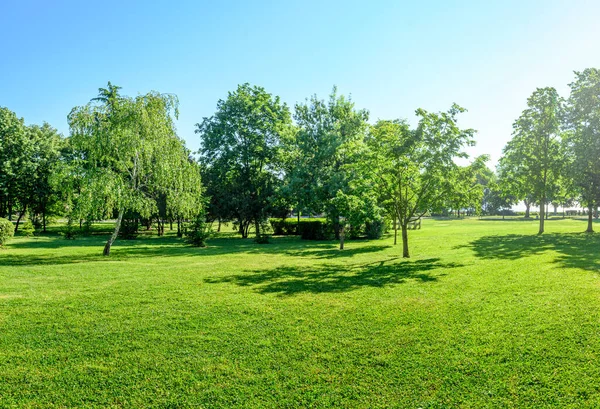 Sunny Landscape Green Lawn Trees Summer Park — Stock Photo, Image