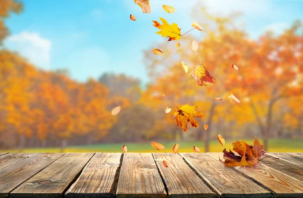 柳橙落叶和老木板 秋天自然背景 图库图片