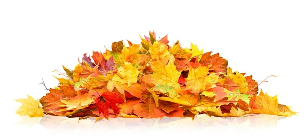 Hromada Podzimních Listí Izolovaných Bílém Pozadí Stock Snímky