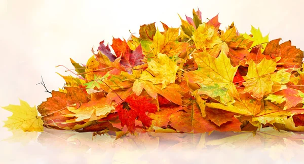 成堆的桔子落叶 秋天的自然背景 免版税图库照片