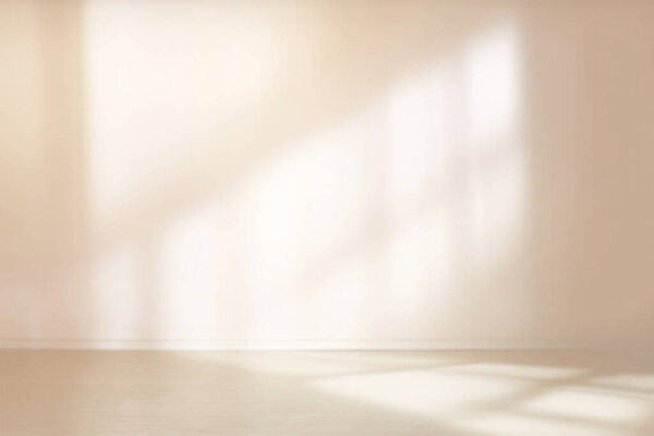 gradient abstract gentle light background in photo studio for product presentation with shadow from the window on wall