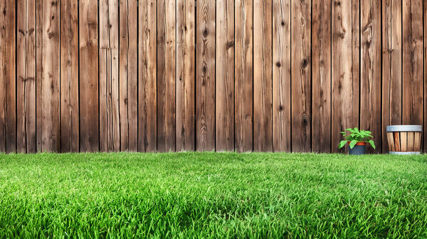 green grass lawn and wooden fence in summer backyard garden