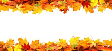 İzole üzerinde beyaz zemin çerçeve renkli sonbahar yaprakları