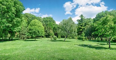 Baharda çimenli ve yeşil ağaçlı park ve bahçe manzarası 
