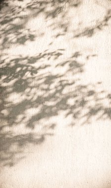 Ağaç dallarının ve yaprakların yumuşak gölgeleri hafif desenli bej bir duvarın üzerine düşüyor. Güneş ışığı organik şekillerle doğal ve soyut bir desen oluşturur.