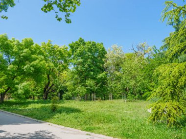 Yazın Varna 'daki şehir parkı