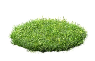 Beyaz arka plan üzerinde izole yeşil çim çim 