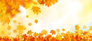 Sonbahar düşen yapraklar çerçeve arkaplanı