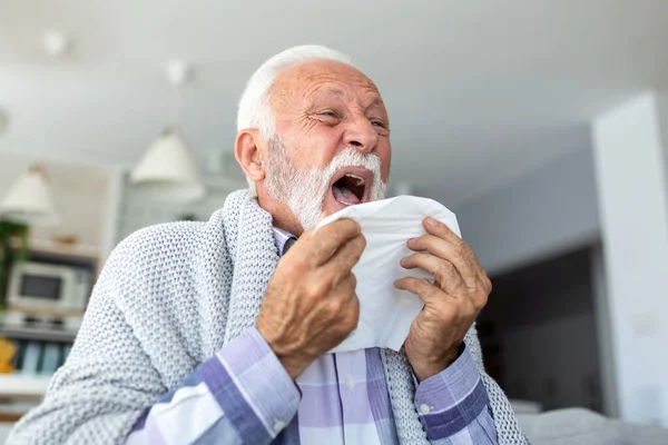 Yaşlı Hasta Sakallı Adam Beyaz Battaniyeli Gri Koltukta Peçeteye Hapşırıyor — Stok fotoğraf