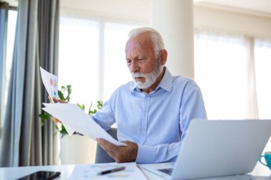 Odaklanmış kıdemli iş adamı çevrimiçi video görüşmesi grafiklerini ve grafiklerini sunuyor. Olgun bir iş adamı bilgisayarında müşterisiyle konferans görüşmesi yapıp işlerin nasıl yürüdüğünü anlatıyor.