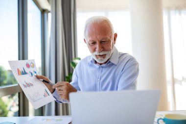 Odaklanmış kıdemli iş adamı çevrimiçi video görüşmesi grafiklerini ve grafiklerini sunuyor. Olgun bir iş adamı bilgisayarında müşterisiyle konferans görüşmesi yapıp işlerin nasıl yürüdüğünü anlatıyor.