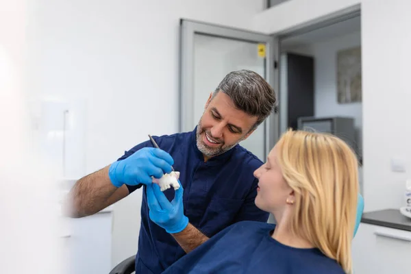 Dentist Showing Dental Plaster Mold Patient Dentist Doctor Showing Jaw — Stock Photo, Image