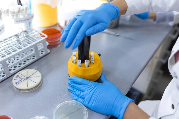 Εργαστήριο Ιατρικής Επιστήμης Τεστ Ευαισθησίας Στα Αντιβιοτικά Επιστήμονας Κάνει Δοκιμές — Φωτογραφία Αρχείου