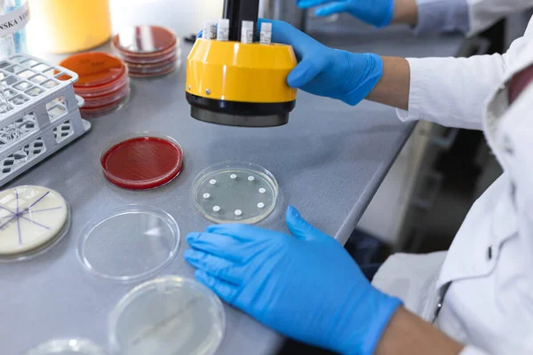 Εργαστήριο Ιατρικής Επιστήμης Τεστ Ευαισθησίας Στα Αντιβιοτικά Επιστήμονας Κάνει Δοκιμές — Φωτογραφία Αρχείου