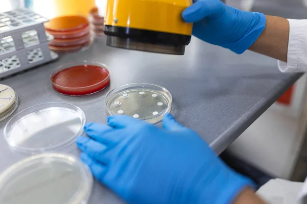 Tıbbi Bilimler Laboratuvarı Antibiyotik Hassasiyet Testi Bilim Adamı Antibiyotikleri Test — Stok fotoğraf