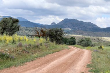 dağ manzarası ve kırsal yol