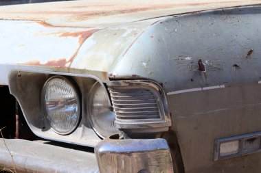 Antika araba çürümeye terk edilmiş.