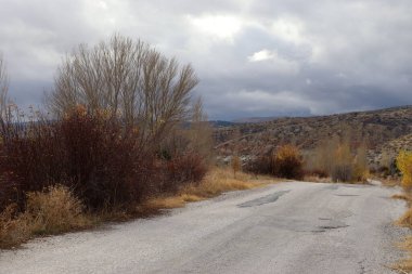 Dramatik gökyüzü, kırsal yol ve çıplak ağaçlar