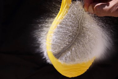 Siyah arkaplanda su balonu sıçraması