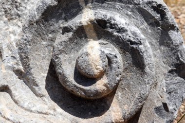Yakın çekim spiral oymalı taş. Antik taş süsü