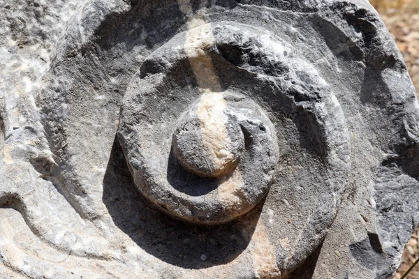 特写镜头螺旋形雕刻的石头 古代石器装饰品 — 图库照片