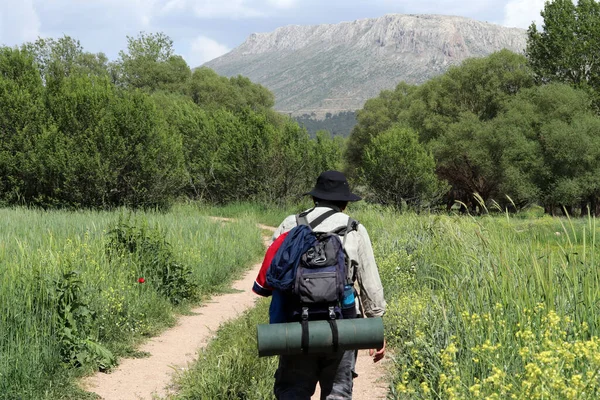 バックパッカーの緑の中を歩く 自然愛好家 — ストック写真
