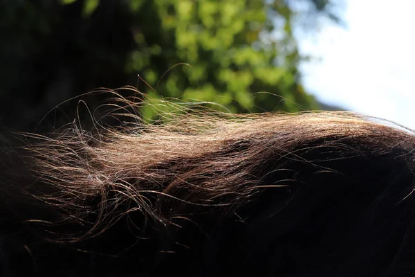 Haarsträhnen Die Sonnenlicht Glänzen — Stockfoto