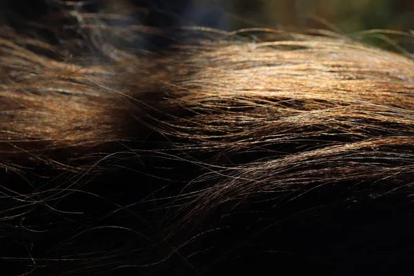 Haarsträhnen Die Sonnenlicht Glänzen — Stockfoto