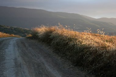 Gökyüzünden yeryüzüne düşen ışık