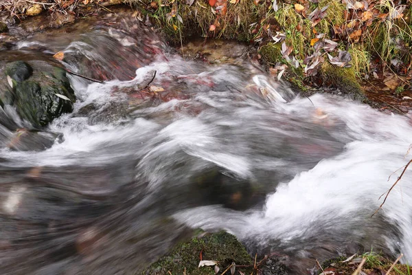 沿着一条狭窄的小径流淌的美丽的水流的特写 — 图库照片