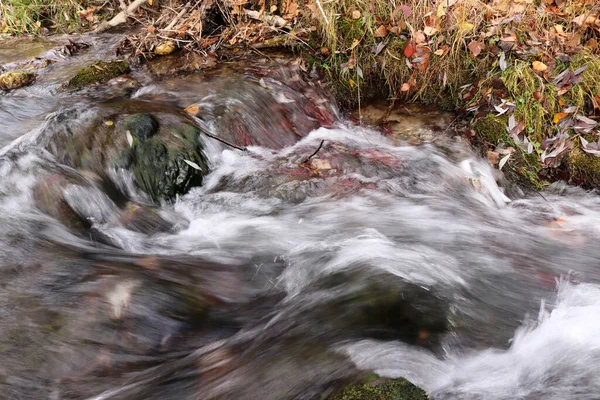 Nahaufnahme Eines Schönen Wasserlaufs Der Einen Schmalen Pfad Hinunterfließt — Stockfoto