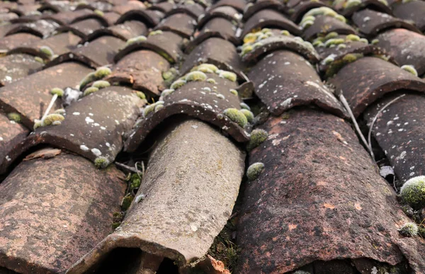 Черепица Крыше Старого Деревенского Дома — стоковое фото