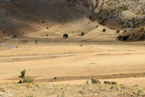 Tierras Cultivo Después Cosecha Trigo Pie Montaña — Foto de Stock