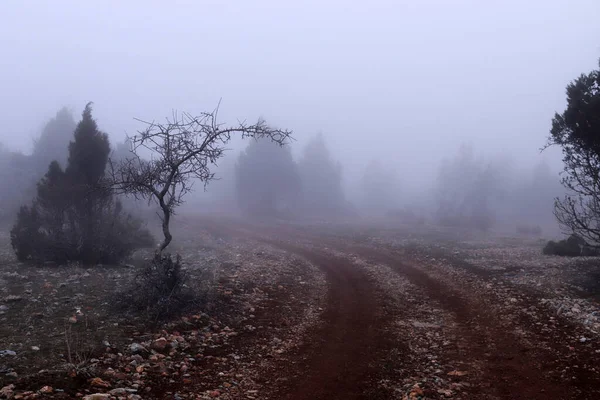 Une Colline Dans Brouillard — Photo