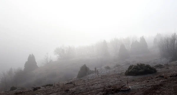 Una Colina Niebla —  Fotos de Stock